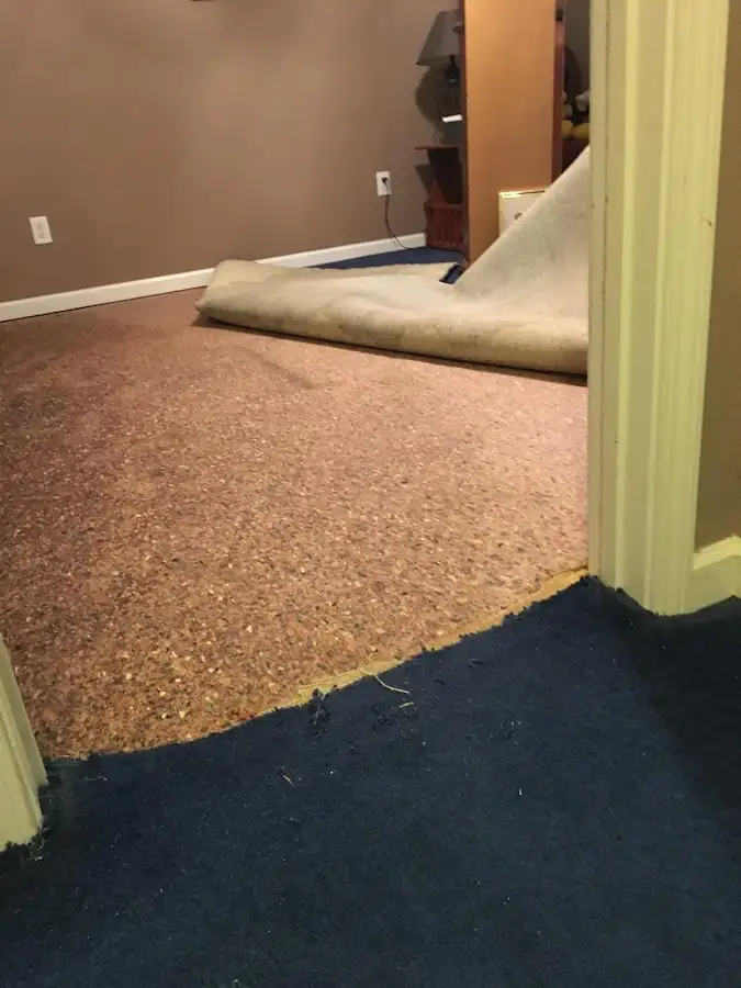 Carpet pad removal revealing water damage during Drying & Dehumidification in Bailey's Crossroads