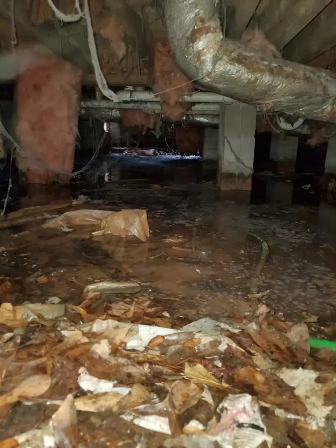 Crawl space flood assessment for Commercial Water Damage Restoration in Bailey's Crossroads